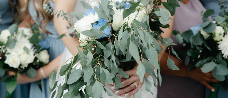 Eucalyptus, beyaz güller ve mavi çiçeklerden oluşan büyük bir buket tutan gelinin yakın çekimi. Çeşitli pastel renkli elbiseler giymiş nedimeler de benzer buketler tutuyor.